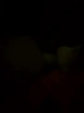 Snapshot of Davvidsm chatting on 01.19.26 Davvidsm online show from 01.19.26