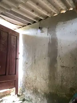 Snapshot of Samsam-006 chatting on 01.17.26 Samsam-006 online show from 01.17.26