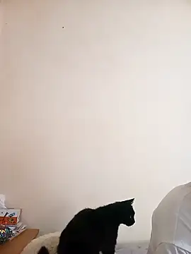 Snapshot of Calypso-Loove chatting on 05.17.26 Calypso-Loove online show from 05.17.26