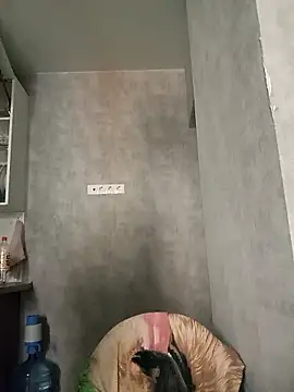 HapinessLovee online show from 03.22.26