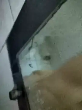 Amoooooun online show from 01.15.26