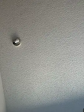 Lenaravenswood online show from 05.11.26