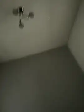 Yorkieboiiiiiii online show from 12.21.25