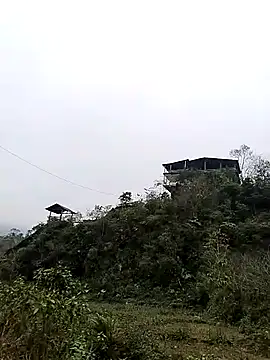 neko-nancy online show from 01.07.26