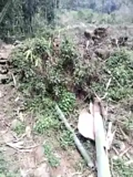 neko-nancy online show from 02.26.26