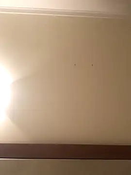 Snapshot of Palinchik chatting on 01.07.26 Palinchik online show from 01.07.26