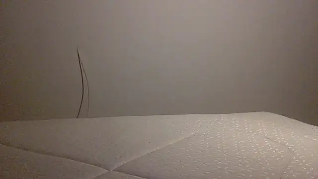 Snapshot of Palinchik chatting on 02.01.26 Palinchik online show from 02.01.26