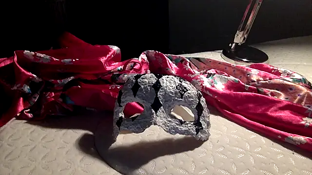 Snapshot of Palinchik chatting on 02.23.26 Palinchik online show from 02.23.26