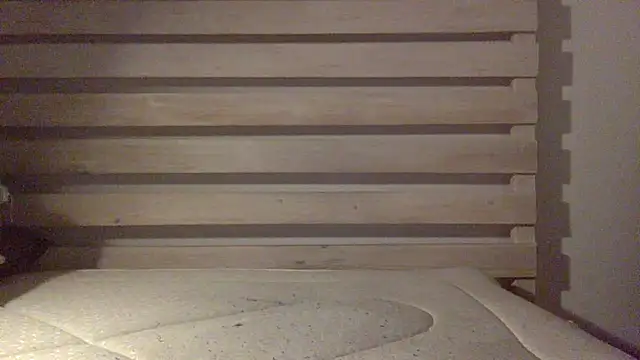 Snapshot of Palinchik chatting on 02.25.26 Palinchik online show from 02.25.26