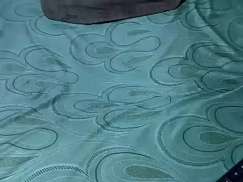 Snapshot of Proxy_Paige chatting on 02.14.26 Proxy Paige online show from 02.14.26