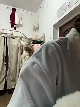 Kawaii-P online show from 12.19.25