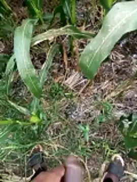 Snapshot of loki-king-143 chatting on 03.09.26 loki-king-143 online show from 03.09.26