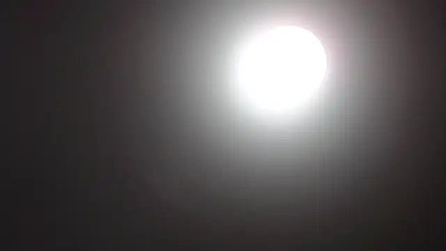 Catherine Walker online show from 12.14.25