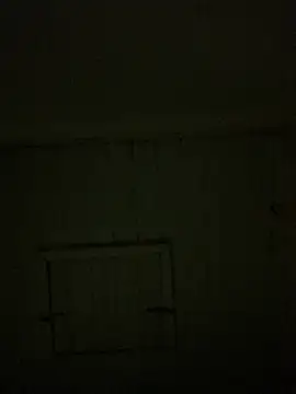 reckless 34 online show from 02.07.26