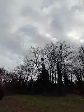 Sacha Scorp online show from 02.07.26