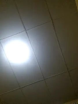 thebruvisacoolsoul online show from 12.20.25