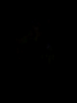 bnglrboy0886 online show from 04.21.26