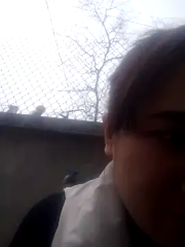 Snapshot of Belinda-686 chatting on 02.12.26 Belinda-686 online show from 02.12.26