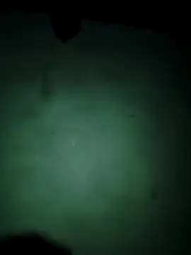 Snapshot of vishalk12346 chatting on 01.13.26 vishalk12346 online show from 01.13.26