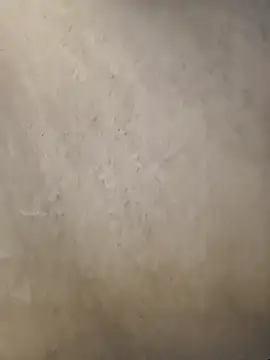 Telugumistress online show from 01.08.26