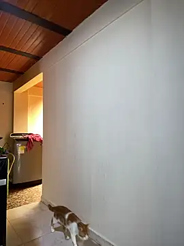 Noxveeltt online show from 04.01.26