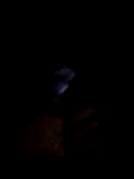 yourwellman online show from 03.05.26