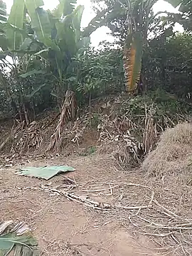 Snapshot of Menlike69 chatting on 01.11.26 Menlike69 online show from 01.11.26