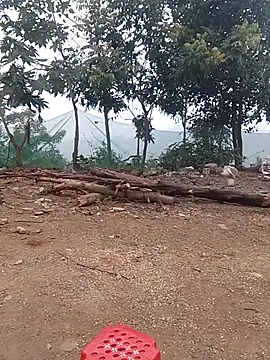 Snapshot of Menlike69 chatting on 01.15.26 Menlike69 online show from 01.15.26