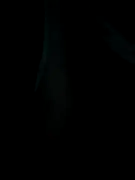 Snapshot of emzoss chatting on 12.20.25 emzoss online show from 12.20.25