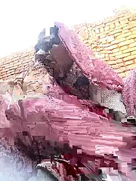 Rakhi cut online show from 01.13.26