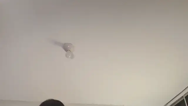 Sofii unicorn online show from 03.13.26