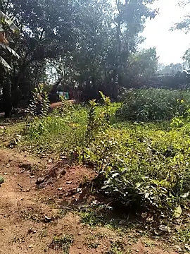 Snapshot of janbi_sexe chatting on 01.14.26 janbi sexe online show from 01.14.26