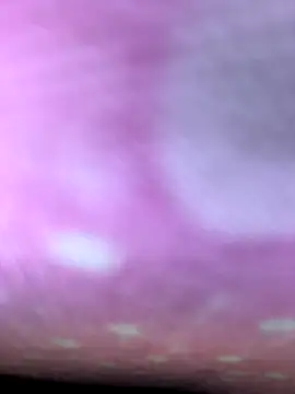 m9awadan online show from 01.05.26