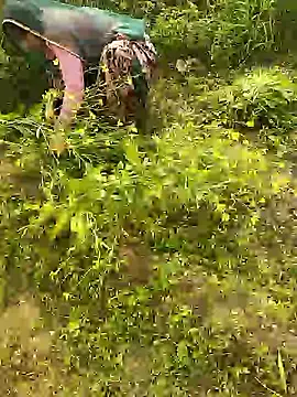 hornycouple20000 online show from 01.08.26