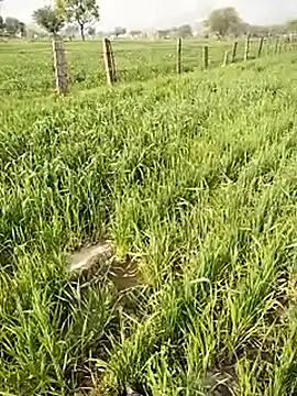 hornycouple20000 online show from 01.09.26