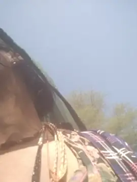 hornycouple20000 online show from 02.05.26