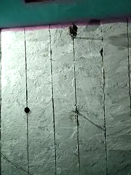 Mehjab Love online show from 04.02.26