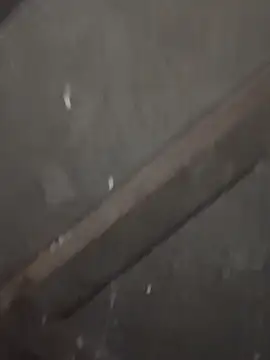 daksh  8 inche online show from 02.04.26