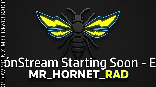 Snapshot of s_hornet chatting on 04.22.26 s hornet online show from 04.22.26