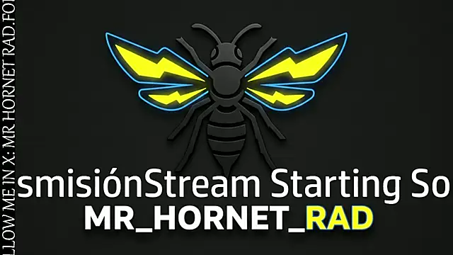 Snapshot of s_hornet chatting on 05.18.26 s hornet online show from 05.18.26