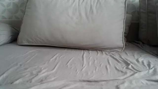 apollo81 online show from 02.18.26