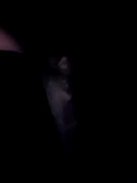 SweetTastes online show from 02.21.26