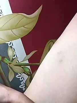 huuluat2 online show from 01.17.26