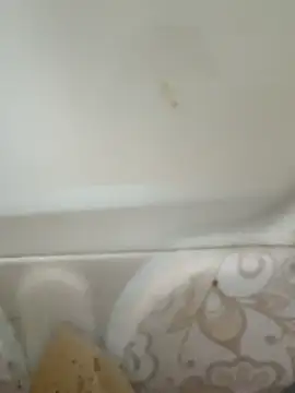 Pagelboy 089 online show from 02.19.26