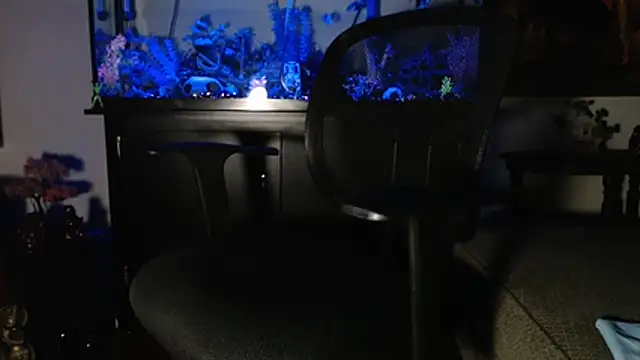 Snapshot of EspanolVato chatting on 01.10.26 EspanolVato online show from 01.10.26