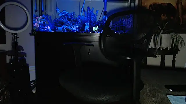 Snapshot of EspanolVato chatting on 02.19.26 EspanolVato online show from 02.19.26