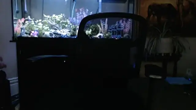 Snapshot of EspanolVato chatting on 03.05.26 EspanolVato online show from 03.05.26