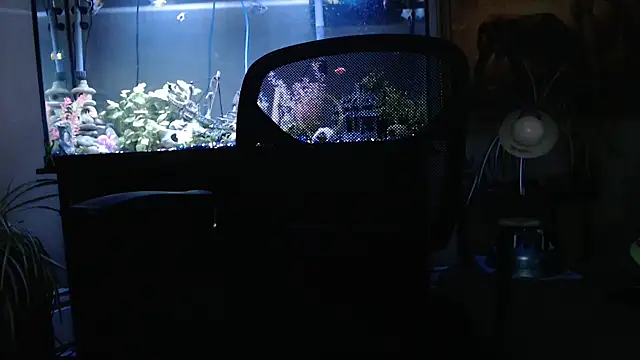 Snapshot of EspanolVato chatting on 03.26.26 EspanolVato online show from 03.26.26