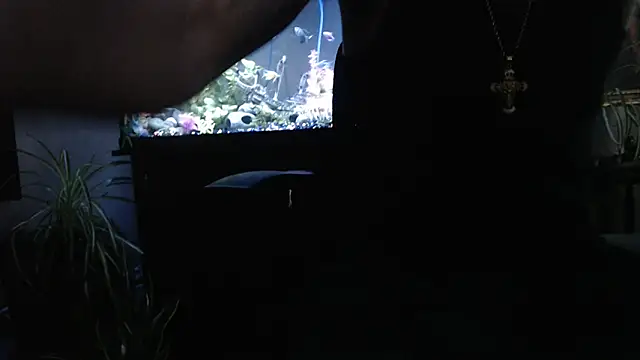 Snapshot of EspanolVato chatting on 04.02.26 EspanolVato online show from 04.02.26