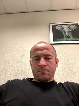 Majestik1 online show from 01.11.26